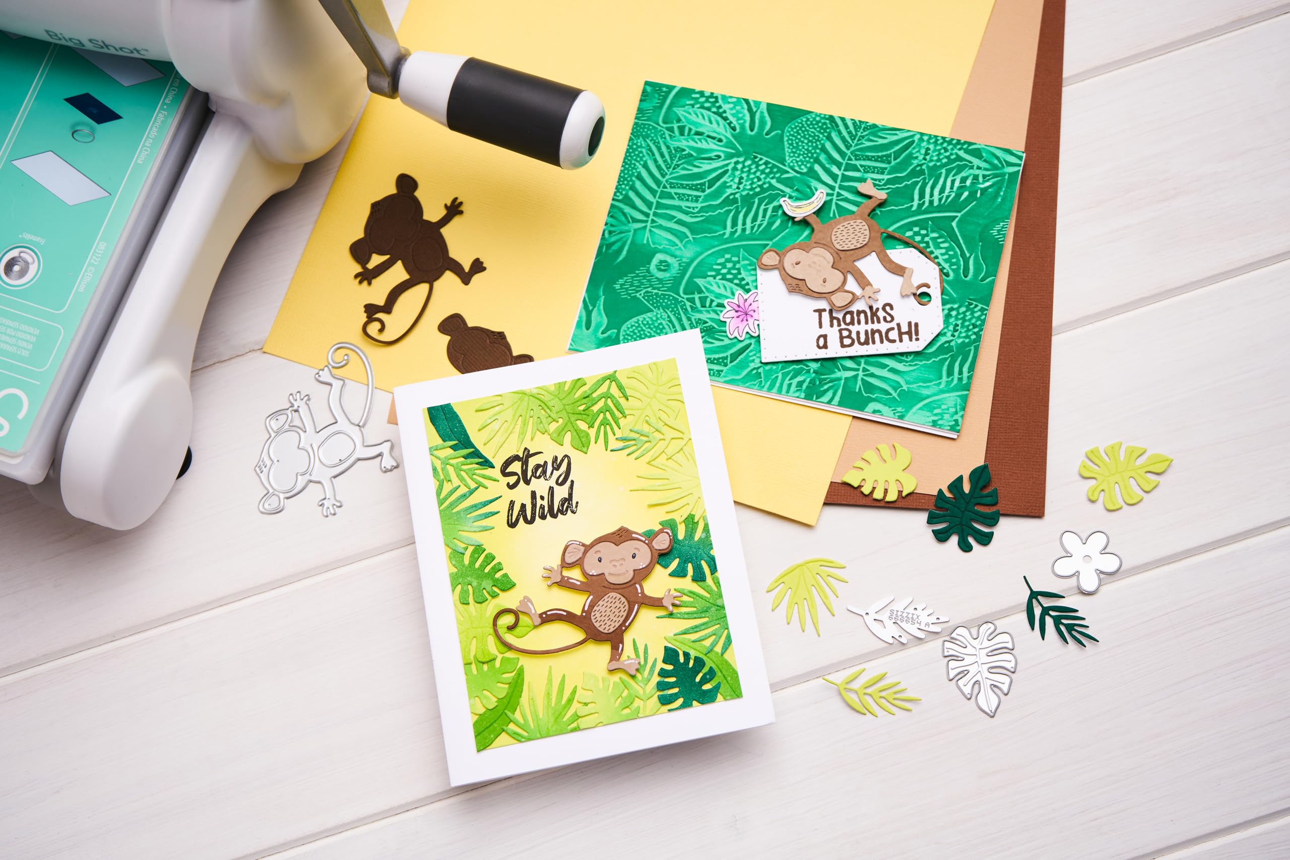 Sizzix 3-D Textured Impressions Embossing Folder - Jungle Textures by Catherine Pooler - Image 4